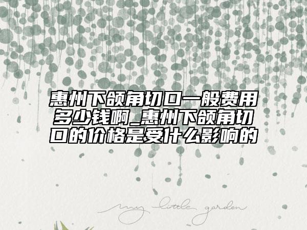 惠州下頜角切口一般費(fèi)用多少錢啊_惠州下頜角切口的價(jià)格是受什么影響的