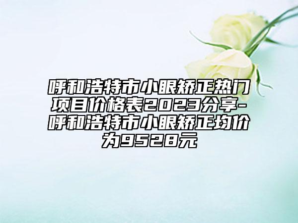 呼和浩特市小眼矯正熱門項目價格表2023分享-呼和浩特市小眼矯正均價為9528元