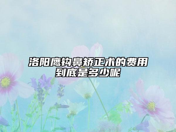 洛陽鷹鉤鼻矯正術的費用到底是多少呢