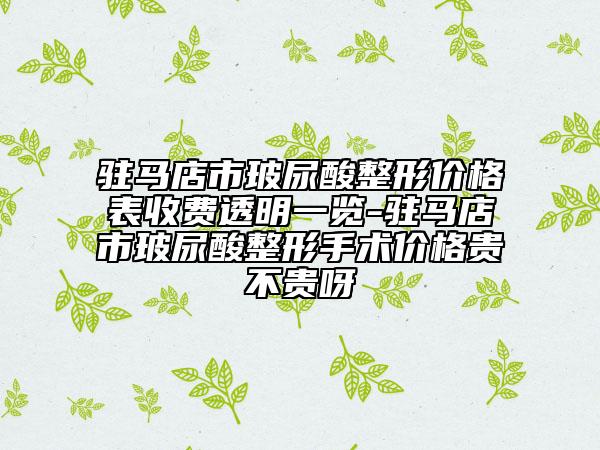 駐馬店市玻尿酸整形價格表收費透明一覽-駐馬店市玻尿酸整形手術(shù)價格貴不貴呀