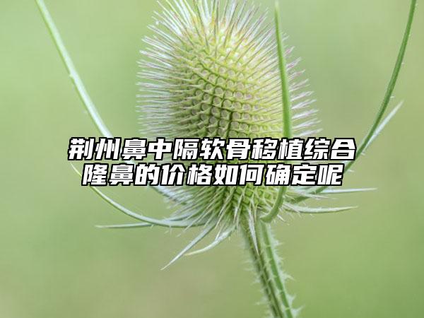 荊州鼻中隔軟骨移植綜合隆鼻的價格如何確定呢