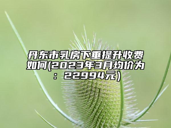 丹東市乳房下垂提升收費(fèi)如何(2023年3月均價(jià)為:22994元)