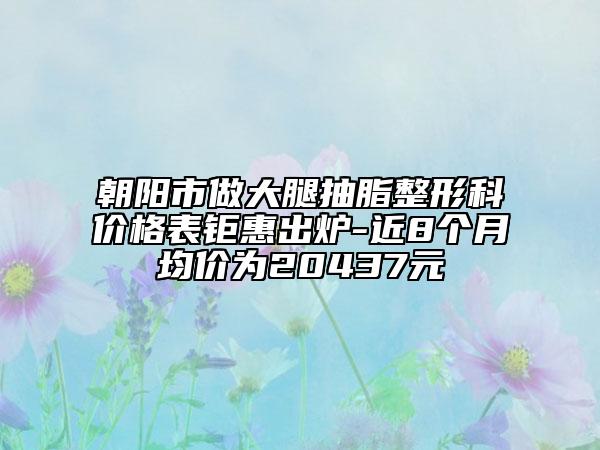 朝陽市做大腿抽脂整形科價格表鉅惠出爐-近8個月均價為20437元