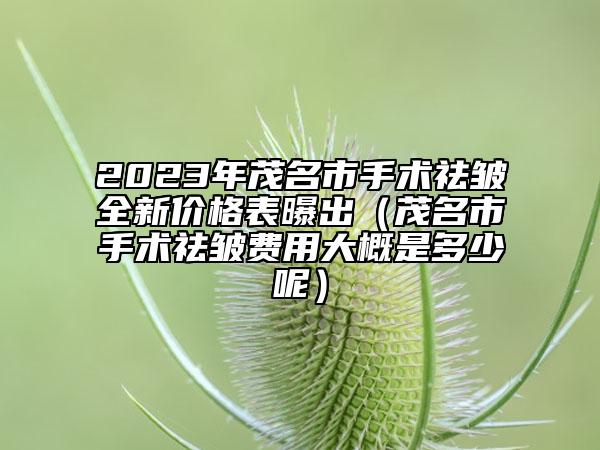 2023年茂名市手術(shù)祛皺全新價格表曝出（茂名市手術(shù)祛皺費用大概是多少呢）