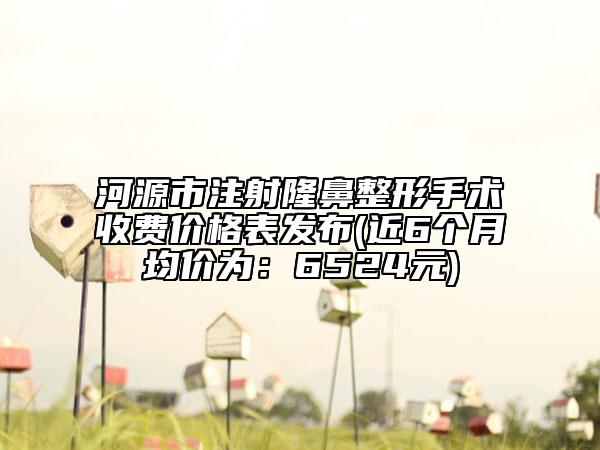 河源市注射隆鼻整形手術(shù)收費價格表發(fā)布(近6個月均價為：6524元)