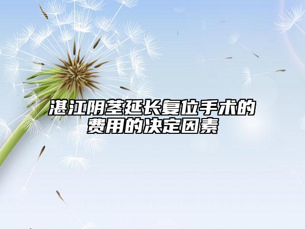 湛江陰莖延長復(fù)位手術(shù)的費(fèi)用的決定因素