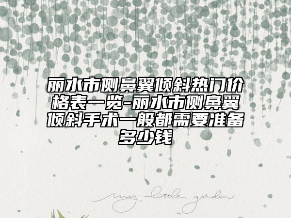 麗水市側(cè)鼻翼傾斜熱門價格表一覽-麗水市側(cè)鼻翼傾斜手術(shù)一般都需要準(zhǔn)備多少錢