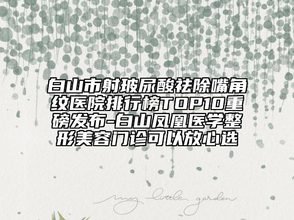 白山市射玻尿酸祛除嘴角紋醫(yī)院排行榜TOP10重磅發(fā)布-白山鳳凰醫(yī)學(xué)整形美容門診可以放心選