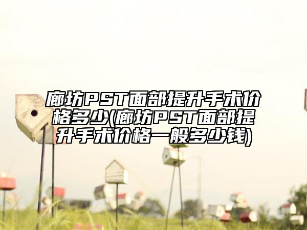 廊坊PST面部提升手術(shù)價格多少(廊坊PST面部提升手術(shù)價格一般多少錢)