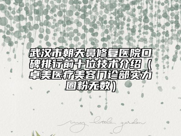 武漢市朝天鼻修復(fù)醫(yī)院口碑排行前十位技術(shù)介紹（卓美醫(yī)療美容門(mén)診部實(shí)力圈粉無(wú)數(shù)）