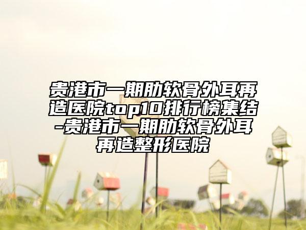 貴港市一期肋軟骨外耳再造醫(yī)院top10排行榜集結(jié)-貴港市一期肋軟骨外耳再造整形醫(yī)院