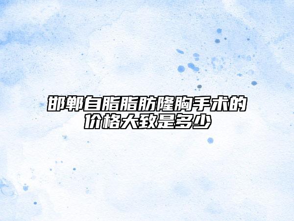 邯鄲自脂脂肪隆胸手術(shù)的價(jià)格大致是多少