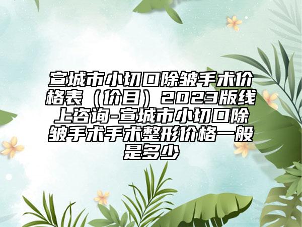 宣城市小切口除皺手術價格表（價目）2023版線上咨詢-宣城市小切口除皺手術手術整形價格一般是多少