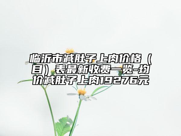 臨沂市減肚子上肉價(jià)格（目）表最新收費(fèi)一覽-均價(jià)減肚子上肉19276元