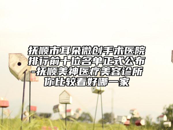 撫順市耳朵微創(chuàng)手術(shù)醫(yī)院排行前十位名單正式公布-撫順美神醫(yī)療美容診所你比較看好哪一家