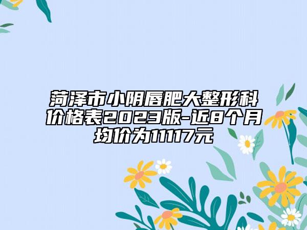 菏澤市小陰唇肥大整形科價(jià)格表2023版-近8個(gè)月均價(jià)為11117元