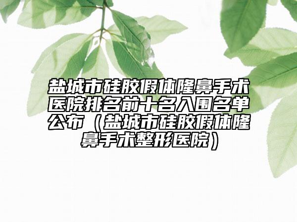 鹽城市硅膠假體隆鼻手術(shù)醫(yī)院排名前十名入圍名單公布(鹽城市硅膠假體隆鼻手術(shù)整形醫(yī)院)