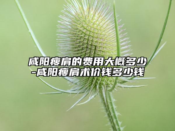 咸陽瘦肩的費(fèi)用大概多少-咸陽瘦肩術(shù)價(jià)錢多少錢