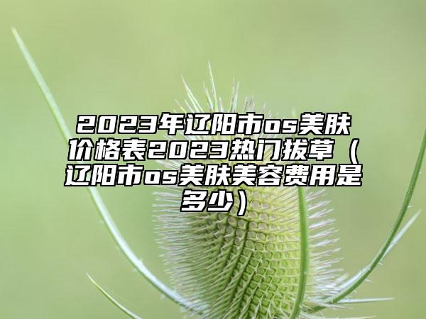 2023年遼陽(yáng)市os美膚價(jià)格表2023熱門拔草（遼陽(yáng)市os美膚美容費(fèi)用是多少）
