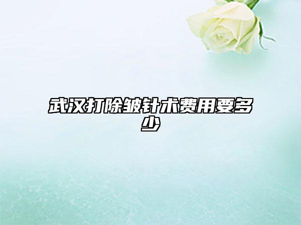 武漢打除皺針術費用要多少