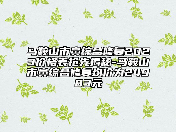 馬鞍山市鼻綜合修復(fù)2023價格表搶先揭秘-馬鞍山市鼻綜合修復(fù)均價為24983元