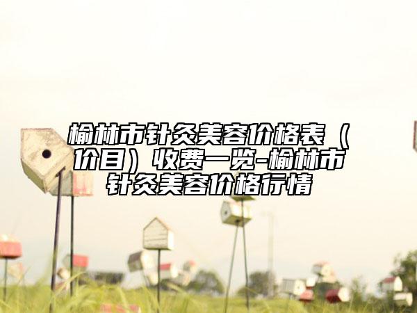 榆林市針灸美容價格表（價目）收費一覽-榆林市針灸美容價格行情