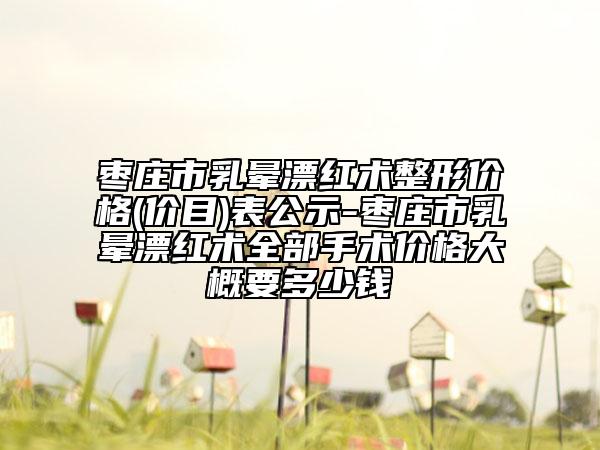 棗莊市乳暈漂紅術(shù)整形價(jià)格(價(jià)目)表公示-棗莊市乳暈漂紅術(shù)全部手術(shù)價(jià)格大概要多少錢