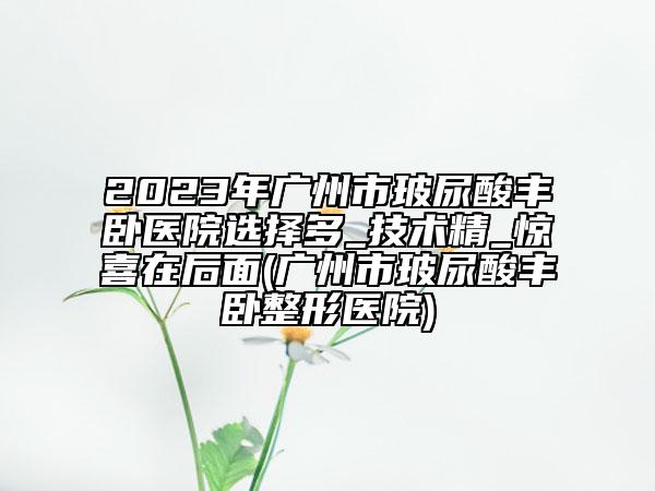 2023年廣州市玻尿酸豐臥醫(yī)院選擇多_技術(shù)精_驚喜在后面(廣州市玻尿酸豐臥整形醫(yī)院)
