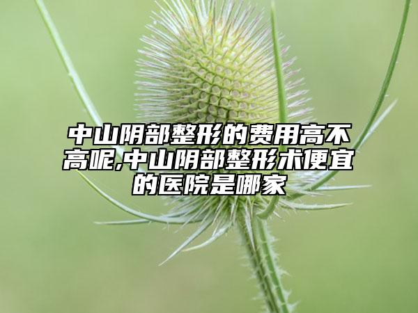 中山陰部整形的費(fèi)用高不高呢,中山陰部整形術(shù)便宜的醫(yī)院是哪家