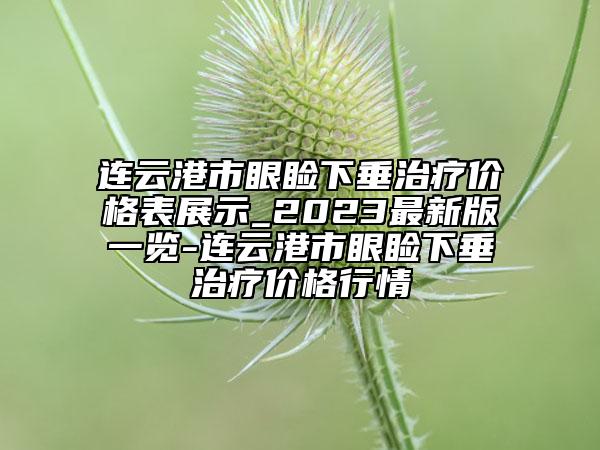 連云港市眼瞼下垂治療價(jià)格表展示_2023最新版一覽-連云港市眼瞼下垂治療價(jià)格行情