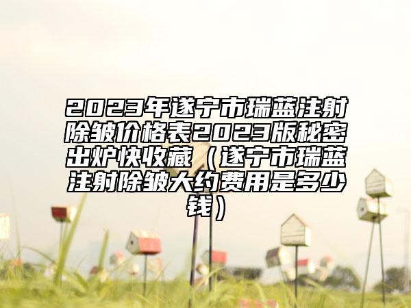 2023年遂寧市瑞藍注射除皺價格表2023版秘密出爐快收藏（遂寧市瑞藍注射除皺大約費用是多少錢）