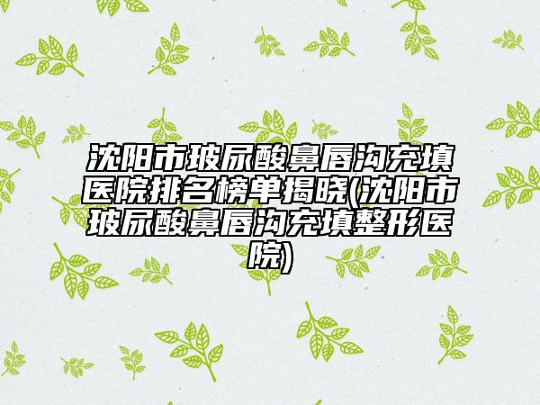 沈陽(yáng)市玻尿酸鼻唇溝充填醫(yī)院排名榜單揭曉(沈陽(yáng)市玻尿酸鼻唇溝充填整形醫(yī)院)