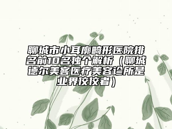 聊城市小耳廓畸形醫(yī)院排名前10名獨(dú)個(gè)解析（聊城德爾美客醫(yī)療美容診所是業(yè)界佼佼者）