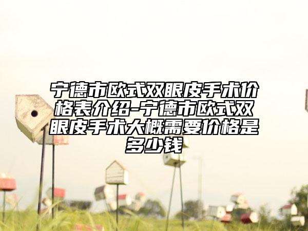 寧德市歐式雙眼皮手術(shù)價(jià)格表介紹-寧德市歐式雙眼皮手術(shù)大概需要價(jià)格是多少錢