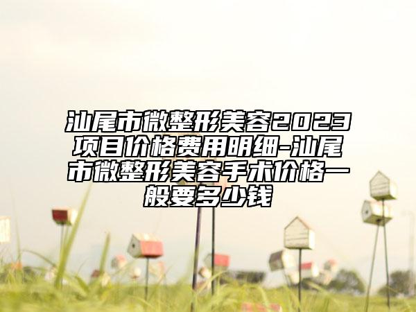 汕尾市微整形美容2023項(xiàng)目價(jià)格費(fèi)用明細(xì)-汕尾市微整形美容手術(shù)價(jià)格一般要多少錢