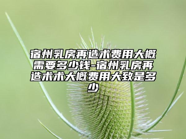 宿州乳房再造術(shù)費(fèi)用大概需要多少錢-宿州乳房再造術(shù)術(shù)大概費(fèi)用大致是多少