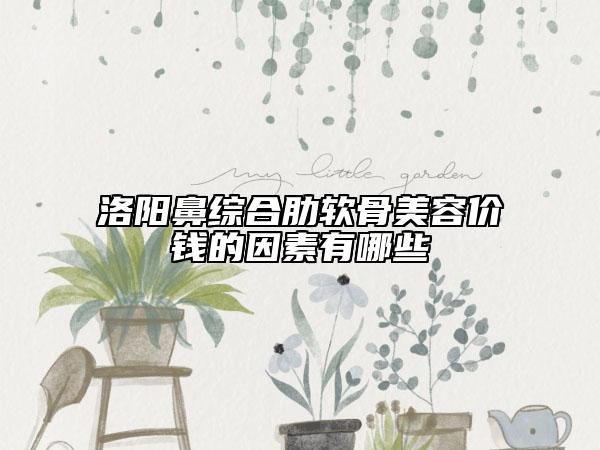 洛陽鼻綜合肋軟骨美容價錢的因素有哪些