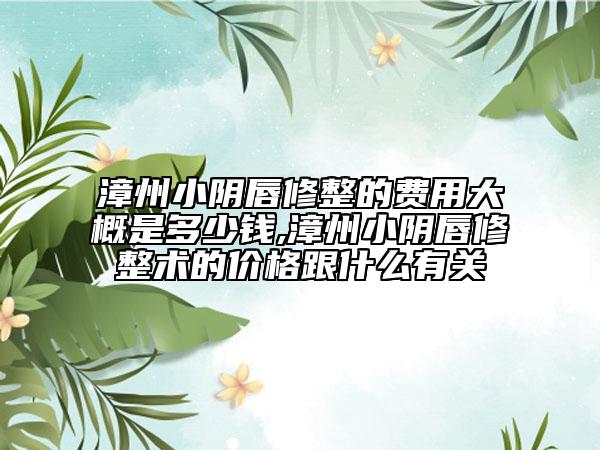 漳州小陰唇修整的費(fèi)用大概是多少錢(qián),漳州小陰唇修整術(shù)的價(jià)格跟什么有關(guān)