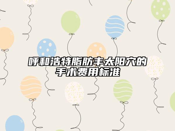 呼和浩特脂肪豐太陽穴的手術(shù)費(fèi)用標(biāo)準(zhǔn)