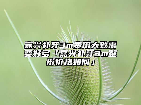 嘉興補(bǔ)牙3m費(fèi)用大致需要好多「嘉興補(bǔ)牙3m整形價格如何」