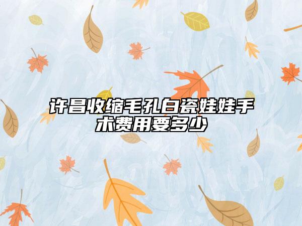 許昌收縮毛孔白瓷娃娃手術(shù)費用要多少