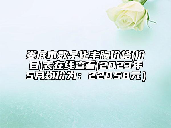 婁底市數(shù)字化豐胸價格(價目)表在線查看(2023年5月均價為：22058元）