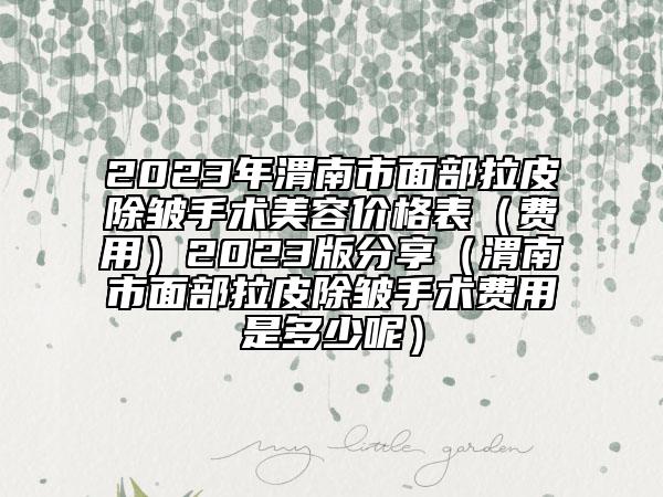 2023年渭南市面部拉皮除皺手術(shù)美容價格表（費用）2023版分享（渭南市面部拉皮除皺手術(shù)費用是多少呢）