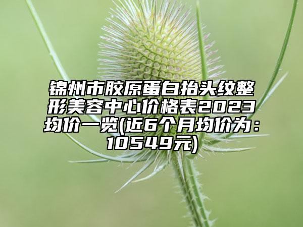 錦州市膠原蛋白抬頭紋整形美容中心價(jià)格表2023均價(jià)一覽(近6個(gè)月均價(jià)為：10549元)
