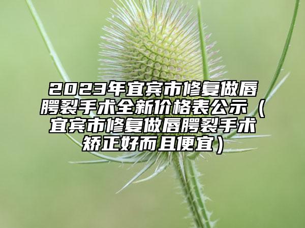 2023年宜賓市修復(fù)做唇腭裂手術(shù)全新價(jià)格表公示（宜賓市修復(fù)做唇腭裂手術(shù)矯正好而且便宜）