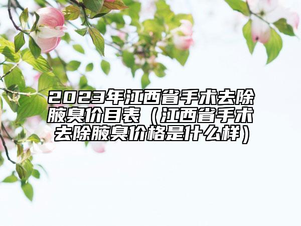 2023年江西省手術(shù)去除腋臭價目表（江西省手術(shù)去除腋臭價格是什么樣）