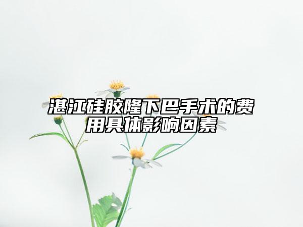 湛江硅膠隆下巴手術(shù)的費用具體影響因素