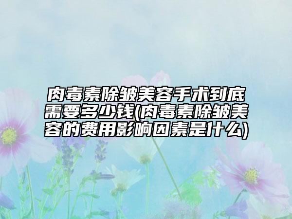 肉毒素除皺美容手術(shù)到底需要多少錢(肉毒素除皺美容的費用影響因素是什么)