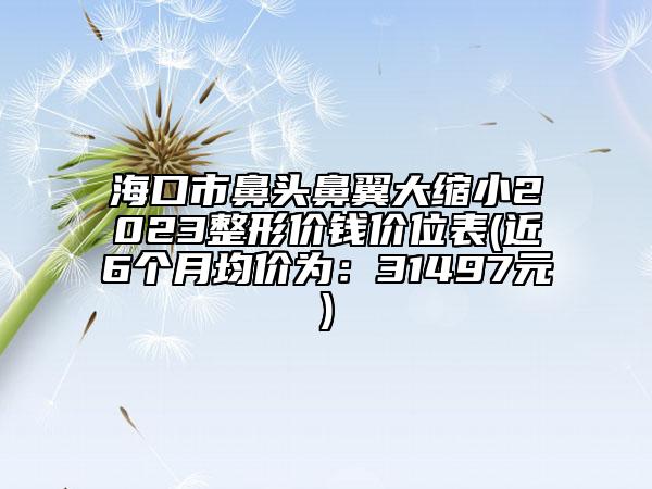 ?？谑斜穷^鼻翼大縮小2023整形價錢價位表(近6個月均價為：31497元)