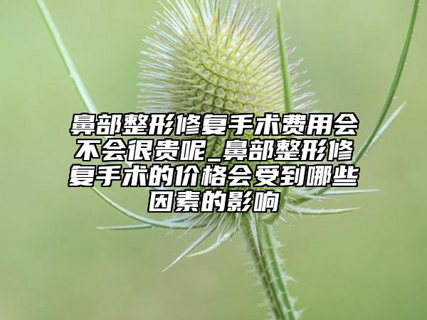 鼻部整形修復(fù)手術(shù)費(fèi)用會(huì)不會(huì)很貴呢_鼻部整形修復(fù)手術(shù)的價(jià)格會(huì)受到哪些因素的影響
